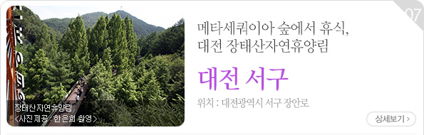 메타세쿼이아 숲에서 휴식, 대전 장태산자연휴양림 - 대전광역시 서구 장안로