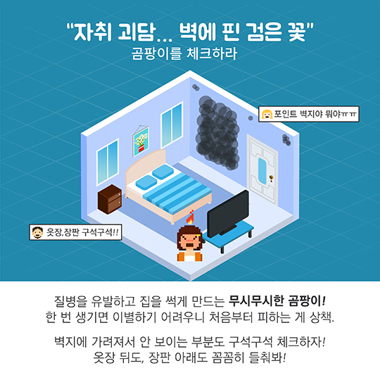 “매의 눈으로 스캔하라” 좋은 방 고르는 꿀팁!