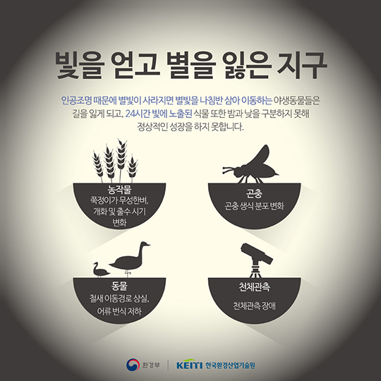 제발 잠 좀 잡시다! 빛 공해