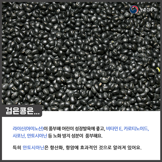 알고 먹으면 더 맛있는 검은콩