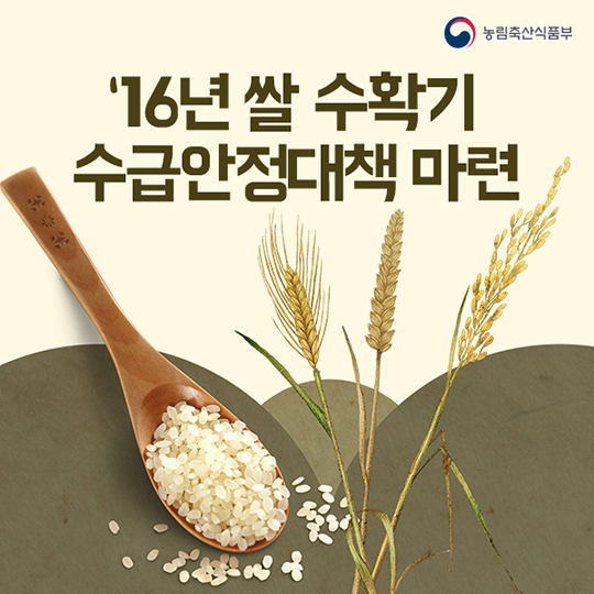 '16년 쌀 수확기 수급안정대책 마련