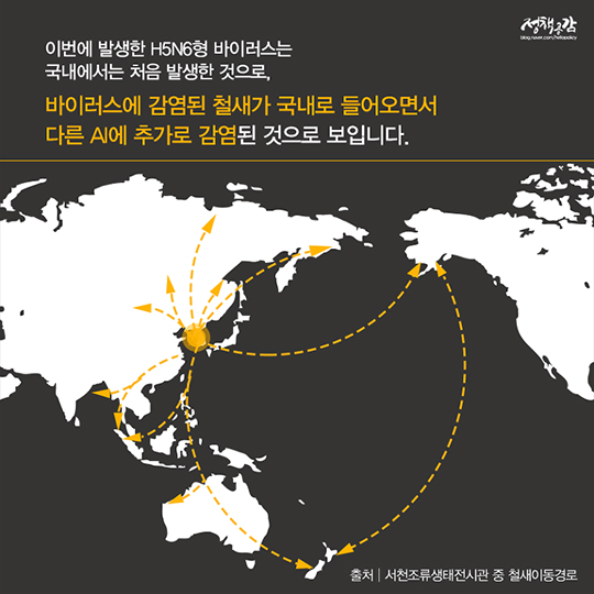 조류인플루엔자(AI) 확산 방지에 함께 해주세요.