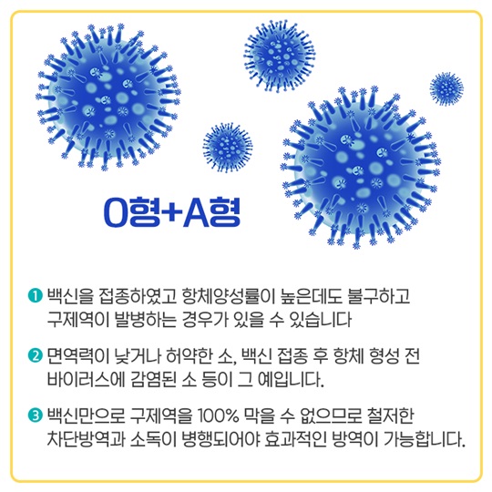 구제역에 관한 A to Z