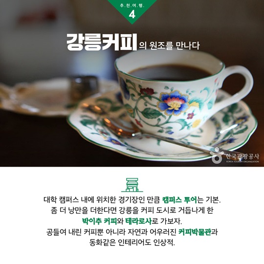 강릉 코스탈 클러스터와 함께 여행을 두 배로 즐기세요!