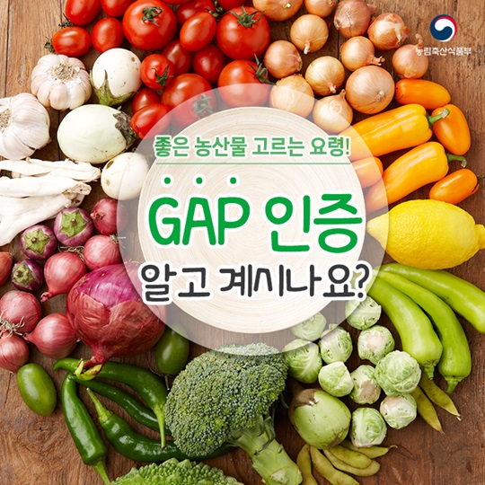 GAP 인증 알고 계시나요