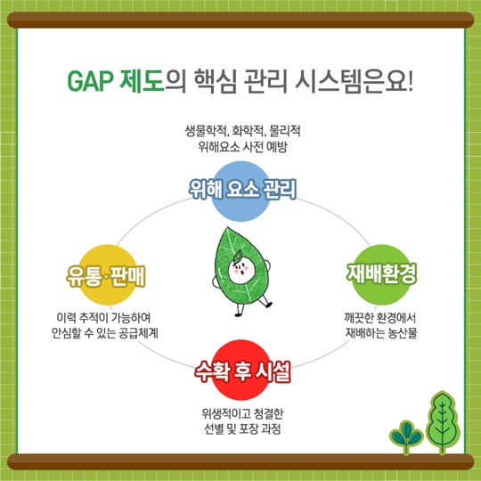 GAP 인증 알고 계시나요