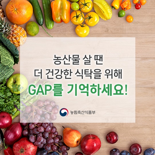 GAP 인증 알고 계시나요