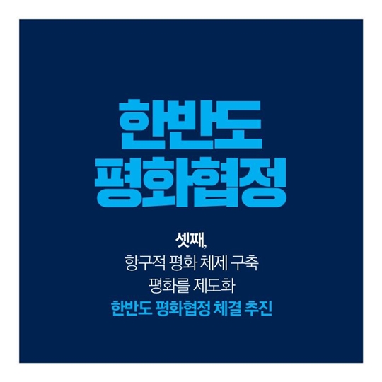 2017 新한반도 평화비전