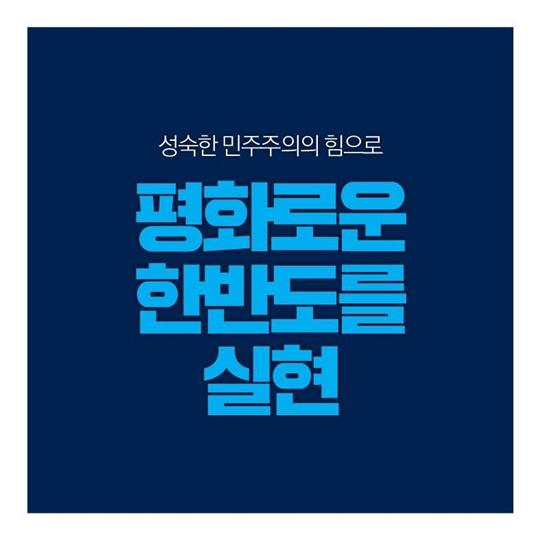 2017 新한반도 평화비전