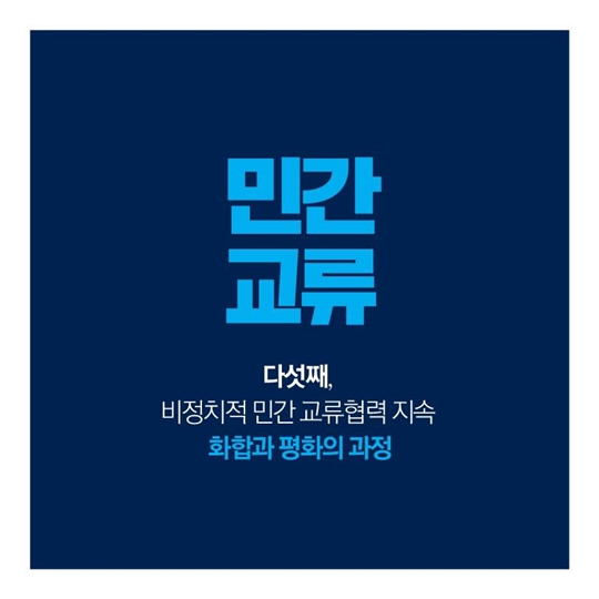 2017 新한반도 평화비전