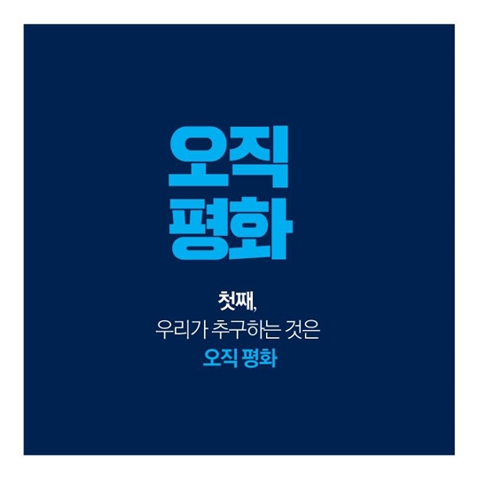 2017 新한반도 평화비전