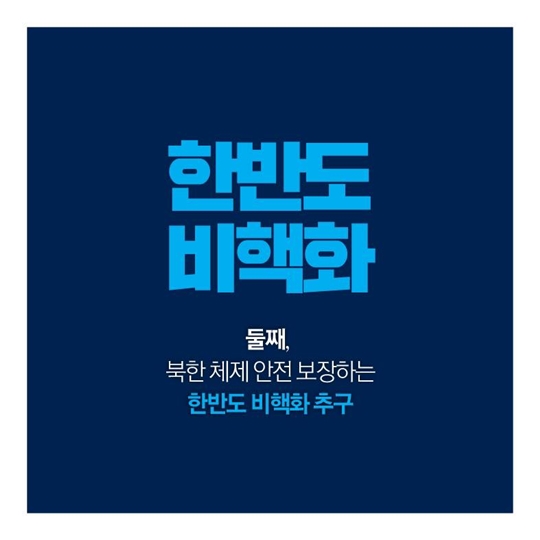 2017 新한반도 평화비전