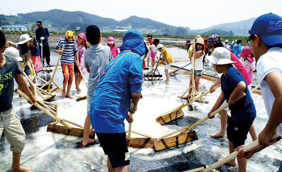 태안 염전 체험.(사진=농림축산식품부)