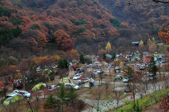 덕유대 자동차야영장.