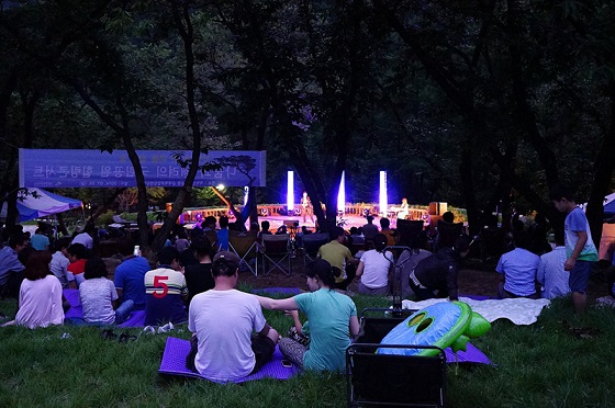 어둠이 내려앉은 캠핑장에서 탐방객들이 콘서트를 관람하고 있다.