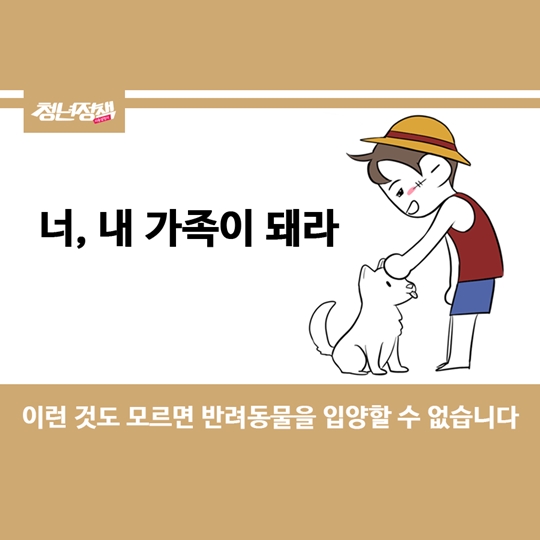 이것도 모르면 반려동물 입양하지 맙시다