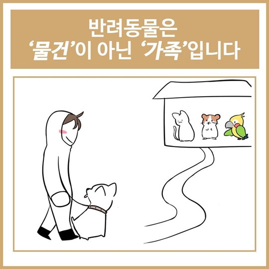 이것도 모르면 반려동물 입양하지 맙시다