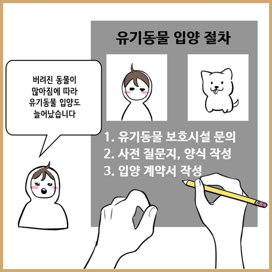 이것도 모르면 반려동물 입양하지 맙시다