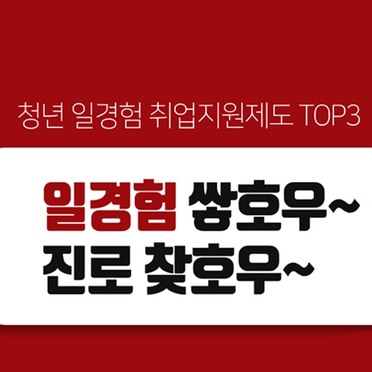 청년 일경험 취업지원제도 TOP 3