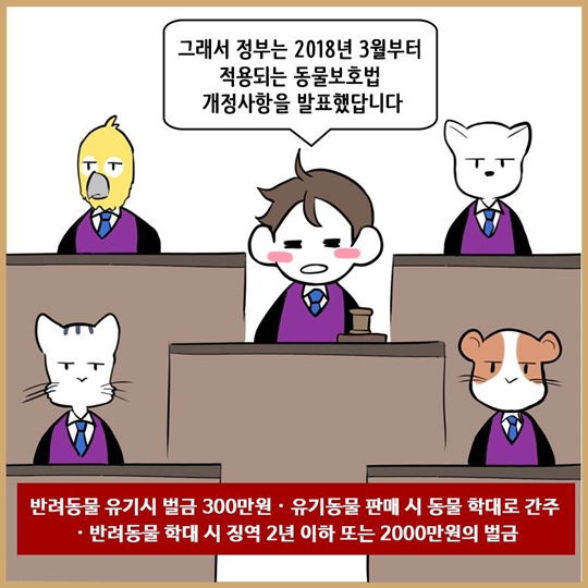 이것도 모르면 반려동물 입양하지 맙시다