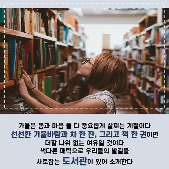 가을에 가기 좋은 이색 도서관 BEST 3