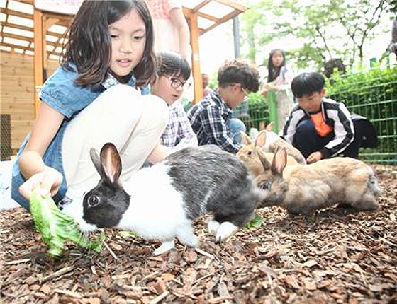 학교깡총 활동에 참여한 어린이들(제공=농촌진흥청)