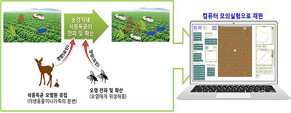 식중독균 오염 예측 프로그램 모식도(제공=농촌진흥청)