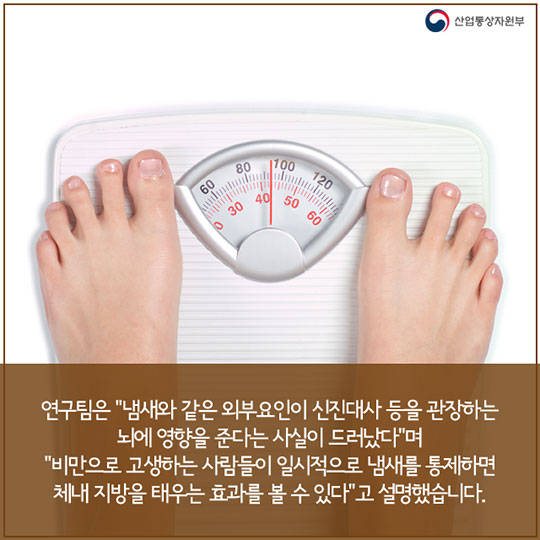 음식 냄새만 맡아도 살이 찐다?