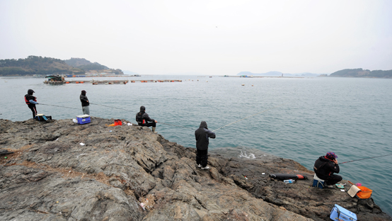 어민들보다 더 많은 바닷물고기를 잡는 낚시객들, 이제는 낚시도 합법화하고 낚시문화도 개선하기 위한 ‘낚시면허제도입’이 논의되어야 한다.