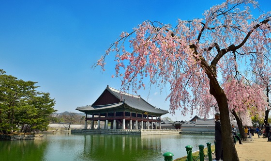 경회루 봄 풍경(사진 = 문화재청)