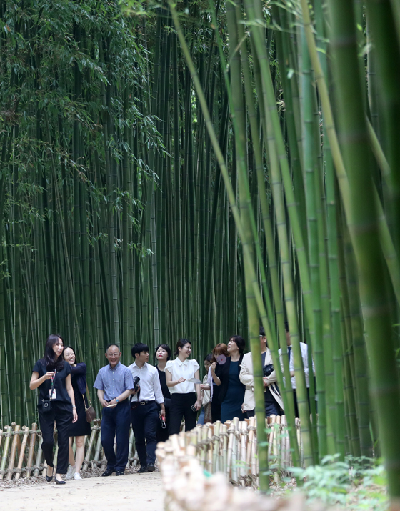 태화강대공원 십리대숲을 찾은 시민들이 전문해설사의 설명을 들으며 대나무 숲길을 걷고 있다.(사진=저작권자(c) 연합뉴스, 무단 전재-재배포 금지) 