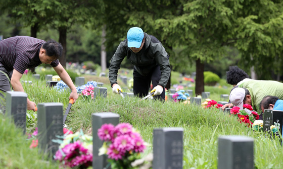 추석 연휴가 앞두고 성묘객들이 조상 묘에 벌초를 하고 있다(사진=저작권자(c) 연합뉴스, 무단 전재-재배포 금지).
