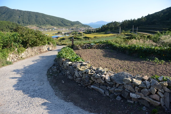 청산도 입도조들이 들어와 정착 곳이라는 덜리에서 바라본 상서리와 상산포다. 당시 이 곳이 청산도의 중심이었다.