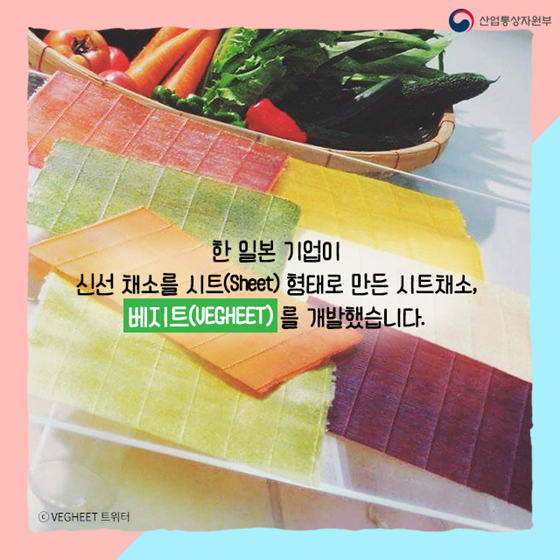 김처럼 말아먹는 종이채소 나왔다