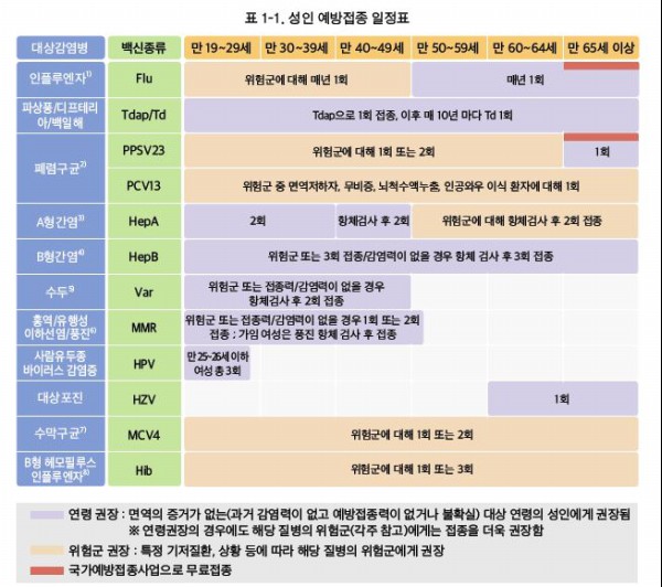 성인예방접종 가이드라인(출처=질병관리본부)