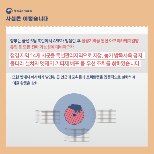 ASF 발생 초기 과감한 조치로 확산 차단에 총력