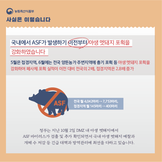 ASF 발생 초기 과감한 조치로 확산 차단에 총력