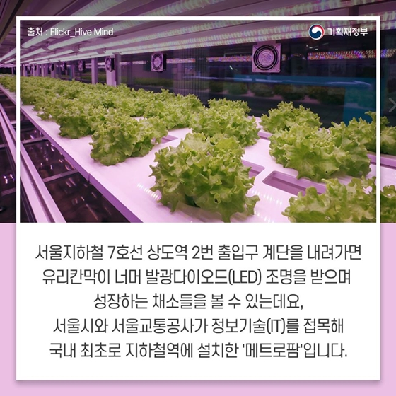 지하철역에서 만나는 농업 ‘메트로팜’