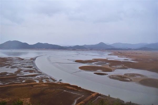 용산전망대에서 바라본 순천만습지의 모습.