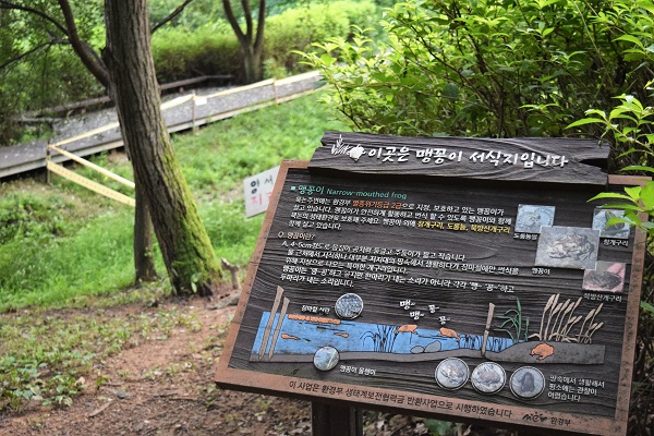 지역 청소년수련관 뒷산에 조성한 교육용 습지.