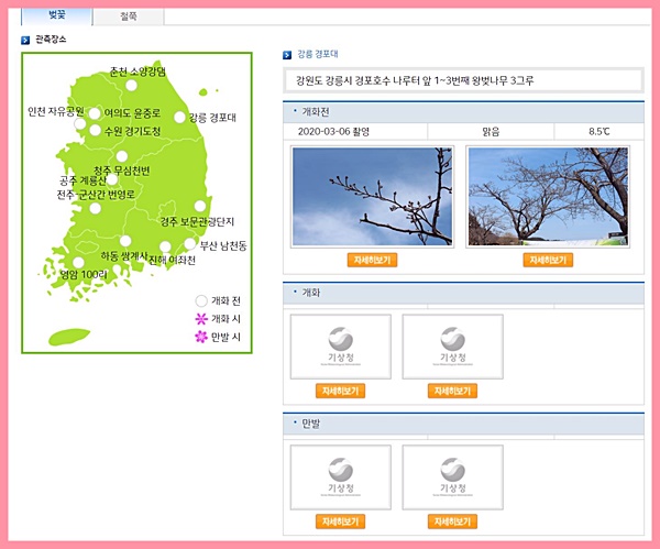 날씨누리에서는 개화시기를 알려준다. 옆에 사진 이미지도 보인다. (출처=기상청 날씨누리)