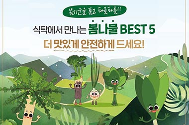 식탁에서 만나는 봄나물 BEST 5  - 전체 | 카드/한컷 | 뉴스 | 대한민국 정책브리핑