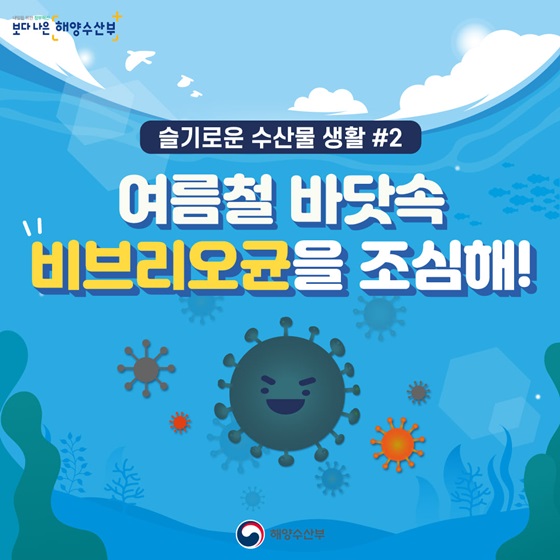 여름철 바닷속 비브리오균을 조심해!