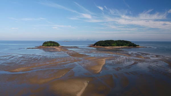 고창갯벌 대죽도 주변의 모래갯벌.