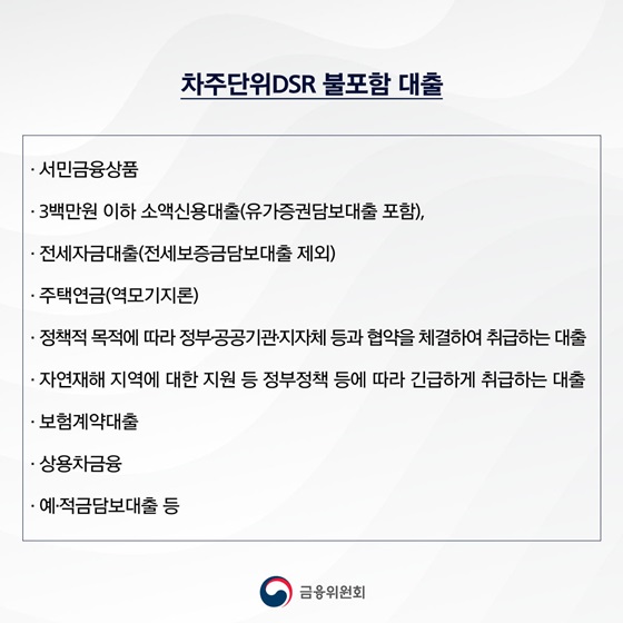 [차주단위DSR 불포함 대출]