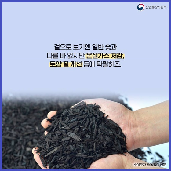 온실가스 저감, 토양 질 개선 등에 탁월하죠.