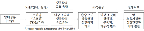 담배연기 노출로 인한 건강영향평가 과정. (자세한 내용은 본문에 설명 있음)