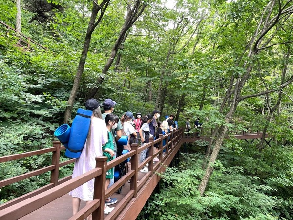 ‘정다운 숲교실’ 숲속트레킹 현장 모습. (사진=교육부)