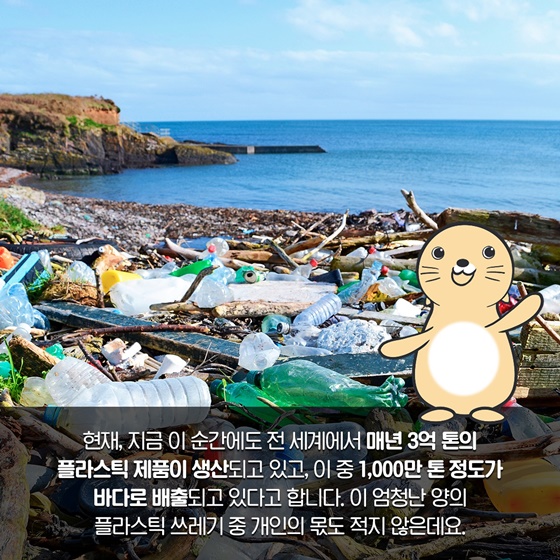 지금 이 순간에도 전 세계에서 매년 3억 톤의 플라스틱 제품이 생산되고 있고, 이 중 1,000만 톤 정도가 바다로 배출