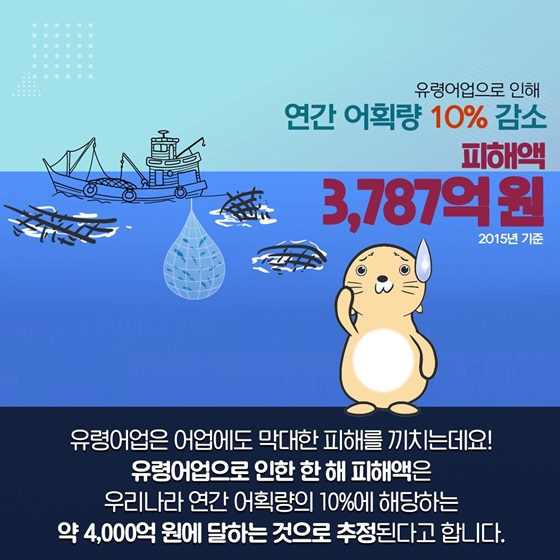 유령어업으로 인해 연간 어획량 10% 감소 피해액 3,787억원